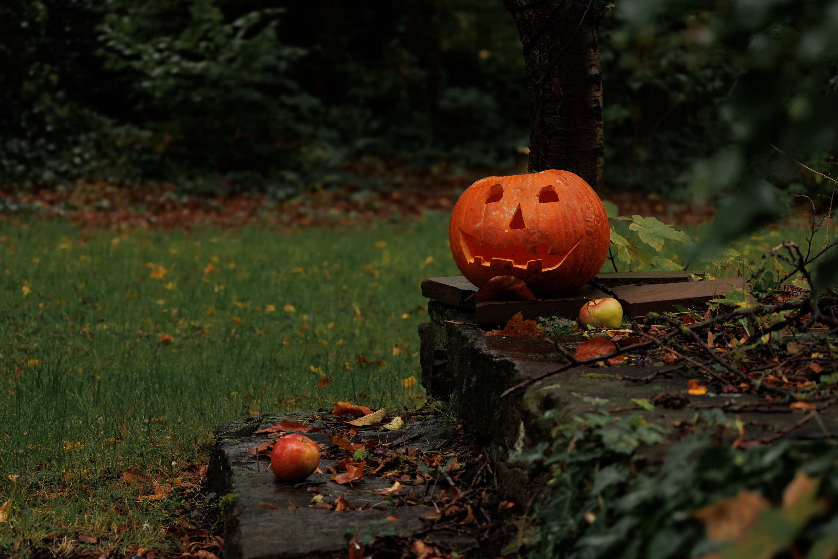 pumpkin in park