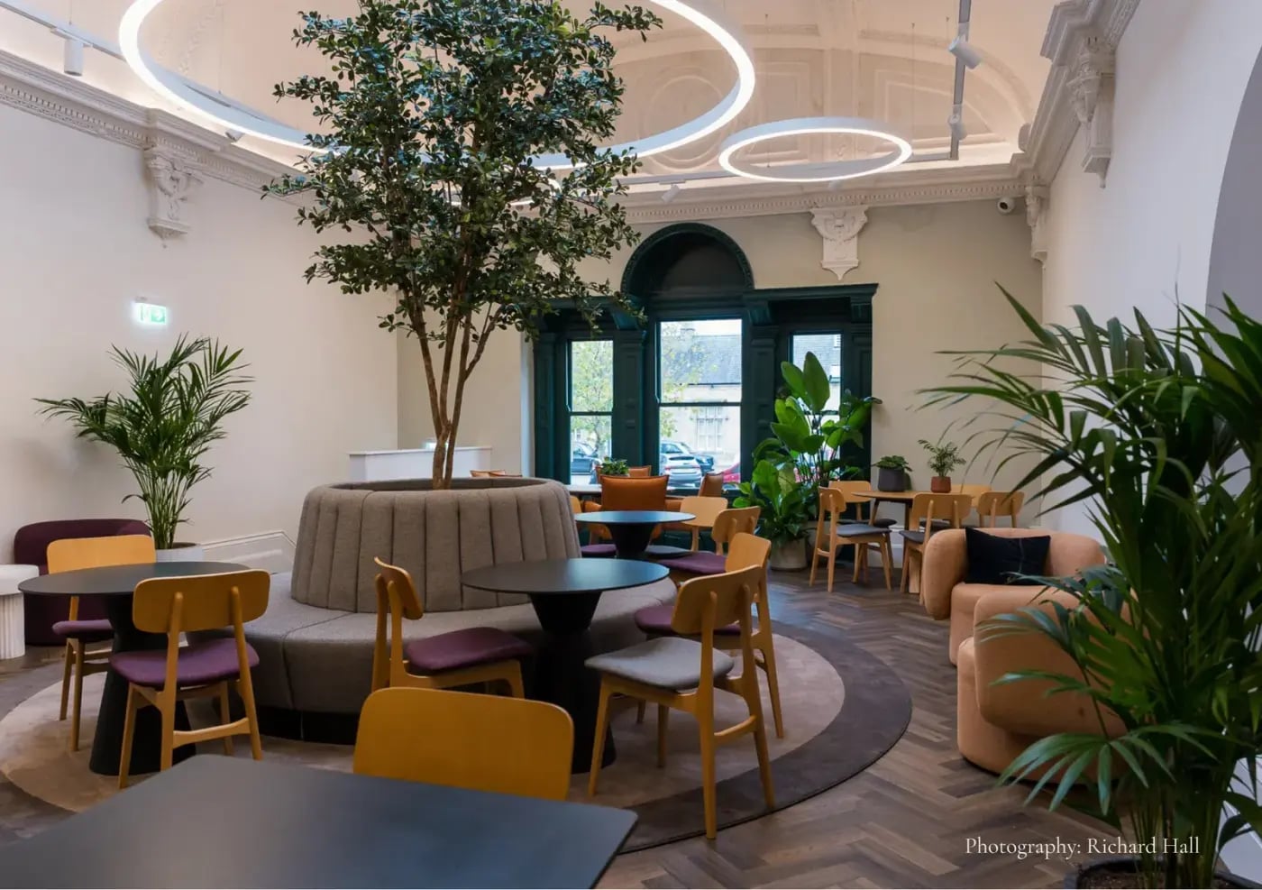 Inside Salt & Fettle