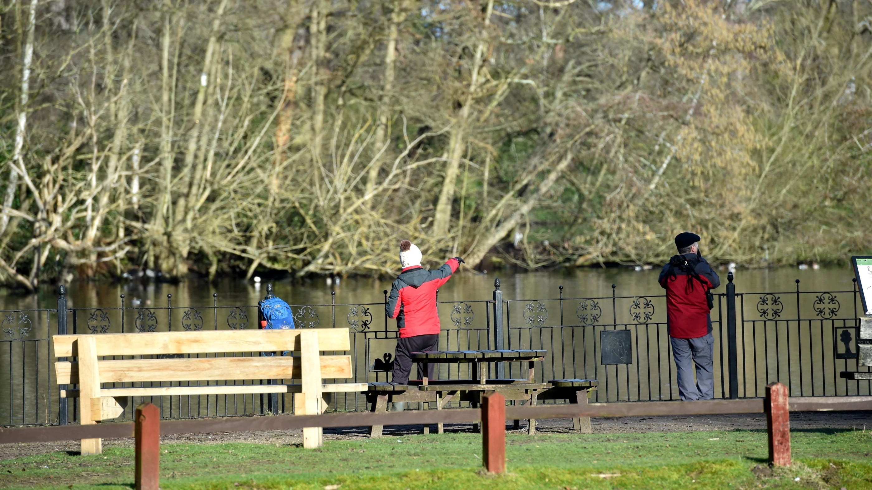The backs of a young boy and an old man looking into a lake against railings.
